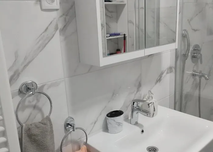 Nana Appartamento Banja Koviljača